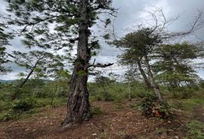Foto de inmueble en CONOCIDA #S/N, Col. El Refugio C.P. 29760, Jitotol