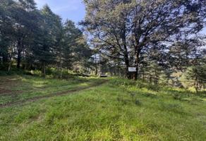 Foto de inmueble en Cam. Ál Laurel, San Miguel, Huixquilucan de Degollado, Méx., Col. Agua Blanca C.P. 52799, Huixquilucan