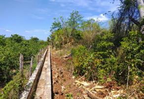 Foto de inmueble en Agricultural land near to Mérida , Col. Tutul Xiú C.P. 97880, Oxkutzcab