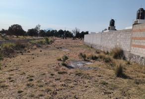 Foto de inmueble en SAN SALVADOR , Col. San Andrés Ahuashuatepec C.P. 90491, Tzompantepec