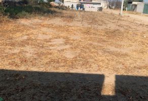 Foto de inmueble en HIDALGO, Col. Ahuaxtla C.P. 90450, Yauhquemehcan