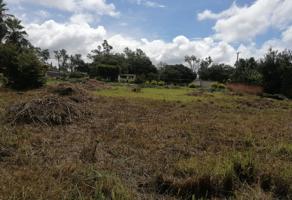Foto de inmueble en Fraccionamento El Venadito, Col. Citlalin C.P. 62715, Ayala