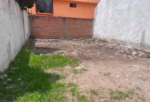 Foto de inmueble en ITURBIDE SUR #s/n, Col. Teotitla C.P. 90193, Santa Isabel Xiloxoxtla
