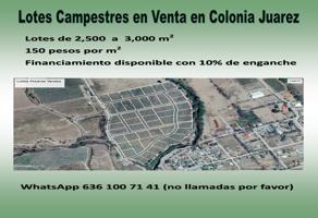 Foto de inmueble en Conocido #s/n, Col. Nuevo Casas Grandes Centro C.P. 31700, Nuevo Casas Grandes