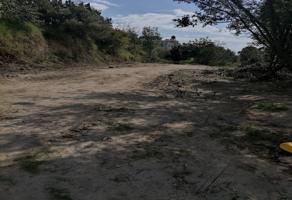 Foto de inmueble en HIDALGO, Col. Los Ángeles C.P. 90560, Cuapiaxtla