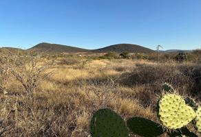 Foto de inmueble en 76983 Apapátaro, Qro., Col. Nuevo Apapátaro C.P. 76983, Huimilpan