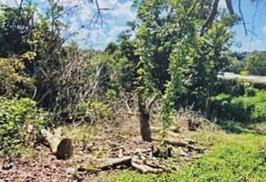 Foto de inmueble en 16 DE SEPTIEMBRE, Col. Lázaro Cárdenas C.P. 92513, Cerro Azul