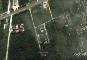 Foto de inmueble en Calle 6 Sur #s/n, Col. Ejidal C.P. 77760, Tulum