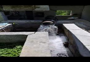 Foto de inmueble en TLALTIZAPAN MORELOS #s/n, Col. Ticuman C.P. 62773, Tlaltizapán de Zapata