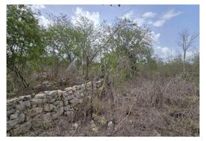Foto de inmueble en 97454 Mocochá, Yuc., Col. Mococha C.P. 97454, Mocochá