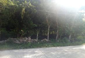 Foto de inmueble en C. 6, San Isidro, 24600 Hopelchén, Camp. #s/n, Col. San Isidro C.P. 24600, Hopelchén