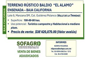 Foto de inmueble en TERRENO RUSTICO BALDIO Lote 9 MANZANA SM, Col. Pocitos (Valle de la Trinidad) C.P. 22797, Ensenada