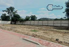 Foto de inmueble en Fraccionamiento Mameyes, Col. Santiago C.P. 62732, Yautepec