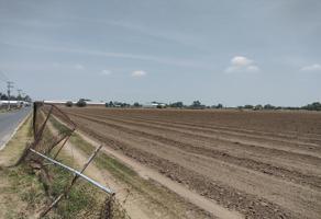 Foto de inmueble en LOS LIMONES, Col. San Mateo Huexotla C.P. 56226, Texcoco