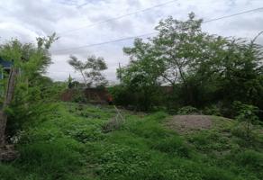 Foto de inmueble en Sergio Tomás Torres, Col. Campesina El Barrio C.P. 80249, Culiacán
