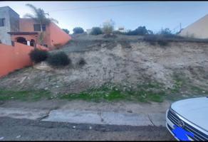 Foto de inmueble en C. Jazmines, Lomas de Agua Caliente 6ta Secc, 22034 Tijuana, B.C. #s/n, Col. Lomas de Agua Caliente 6a Sección (Lomas Altas) C.P. 22034, Tijuana