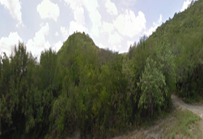 Foto de inmueble en EL VERGEL Y LAS ADJUNTAS, Col. Nueva Creación C.P. 87200, Llera