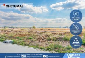Foto de inmueble en 1, Col. Centro Sct Quintana Roo C.P. 77011, Othón P. Blanco
