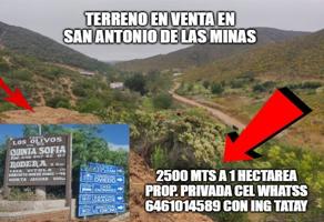 Foto de inmueble en VALLE DE GUADALUPE EN VENTA 2500 Mts a 10 MIL Mts RUTA VINO , Col. El Porvenir (Guadalupe) C.P. 22753, Ensenada