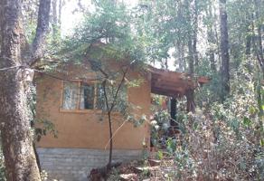Foto de inmueble en CALLE EJERCITO NACIONAL #115Int. 25, Col. La Garita C.P. 29230, San Cristóbal de las Casas