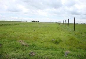 Foto de inmueble en La Estanzuela #s/n, Col. San Pedro C.P. 50900, Almoloya de Juárez