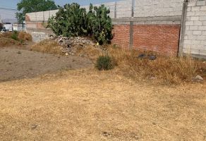 Foto de inmueble en 5 DE MAYO, Col. San Benito Xaltocan C.P. 90453, Yauhquemehcan