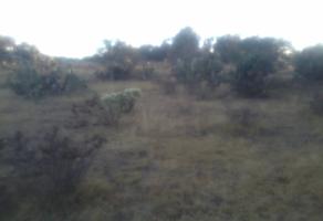 Foto de inmueble en 55989 Presa del Rey, Méx. #s/n, Col. Presa del Rey C.P. 55989, Temascalapa