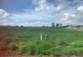 Foto de inmueble en carretera tula-tlahuelilpan #s/n, Col. Teocalco C.P. 42965, Tlaxcoapan