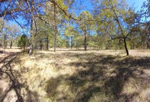 Foto de inmueble en Sendero La Sauceda #5, Col. Granja Martínez C.P. 34357, Durango