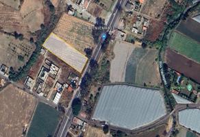 Foto de inmueble en Carr Federal México-Cuautla, Telchicayac, Mor., Col. Telchicayac (Cabellito) C.P. 62845, Atlatlahucan