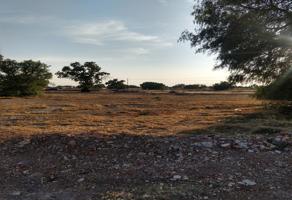 Foto de inmueble en Cedro, 43815 El Carmen, Hgo., Col. Tizayuca C.P. 43806, Tizayuca