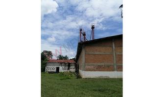 Foto de inmueble en   #4.5 KILOMETRO , Col. La Quince C.P. 30820, Tapachula