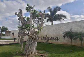 Foto de inmueble en Celestun #269Int. Etapa 3, Col. Paraíso C.P. 97206, Mérida