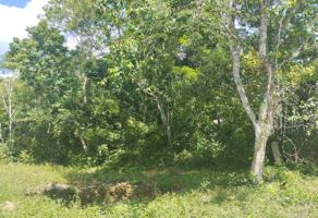 Foto de inmueble en sin ka #s/n, Col. Chumpon C.P. 77130, Felipe Carrillo Puerto