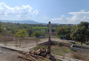 Foto de inmueble en Campo denominado la azuchilera #s/n, Col. Tehuixtla C.P. 62910, Jojutla
