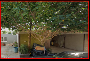 Foto de inmueble en ORQUIDEAS, Col. Bugambilias C.P. 35010, Gómez Palacio