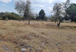 Foto de inmueble en LA VEREDA #0, Col. Ocotitla C.P. 90430, Tetla de la Solidaridad