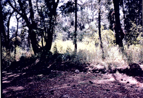 Foto de inmueble en RANCHO VIEJO DE LA TRINIDAD, Col. San Antonio Albarranes C.P. 51345, Temascaltepec
