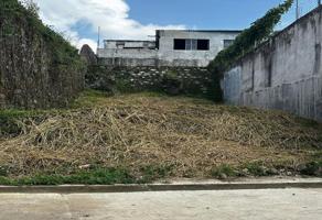 Foto de inmueble en Arriaga #sn, Col. Tlapacoyan Centro C.P. 93650, Tlapacoyan