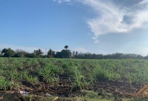 Foto de inmueble en CARRETERA, Col. Ciudad Gral. Miguel Alemán C.P. 95427, Cosamaloapan de Carpio