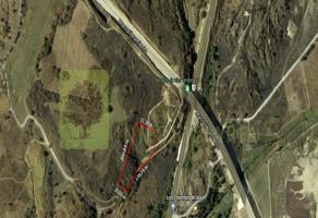 Foto de inmueble en Tala, 45313 Jal. #s/n, Col. Tala C.P. 45310, Tala