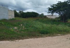 Foto de inmueble en S/N #S/N , Col. 1ro de Mayo C.P. 30099, Comitán de Domínguez