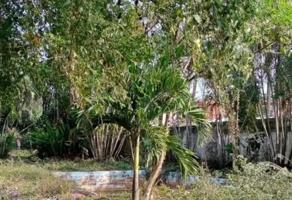 Foto de inmueble en ZACATECAS #11, Col. 1ro de Mayo C.P. 92770, Tuxpan