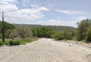 Foto de inmueble en Rosario Castellanos, El Molino, 75780 Tehuacán, Pue. #s/n, Col. El Molino C.P. 75780, Tehuacán