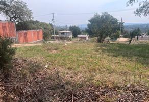 Foto de inmueble en 19 DE MARZO #90491, Col. 19 de Noviembre C.P. 90490, Tzompantepec