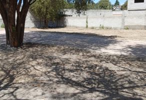 Foto de inmueble en MORELOS, Col. Olextla de Juárez C.P. 90864, Acuamanala de Miguel Hidalgo