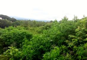 Foto de inmueble en no conocida, Col. Lomas de La Selva C.P. 62270, Cuernavaca