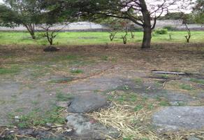 Foto de inmueble en Alpuyeca - Grutas de Cacahuamilpa, Centro, Alpuyeca, Mor., Col. Alpuyeca C.P. 62790, Xochitepec