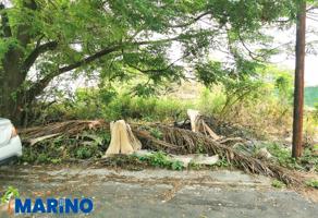 Foto de inmueble en Gorrión, Col. Vicente Guerrero C.P. 62847, Atlatlahucan