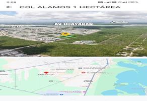Foto de inmueble en Colegio Álamos Plantel Sur y Little Alamos Villa, Av. Mallorca 03, 77536 Cancún, Q.R. #s/n, Col. Villa Maya Residencial Cancún C.P. 77536, Benito Juárez
